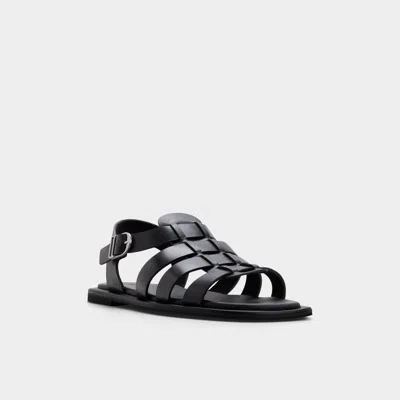 Aldo Romney In Multi