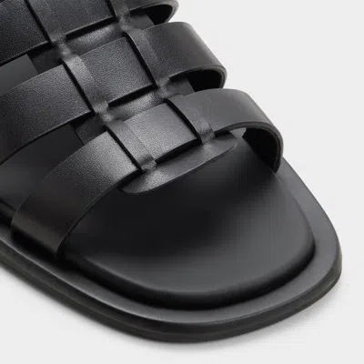 Aldo Romney In Multi