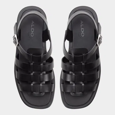 Aldo Romney In Multi