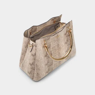 Aldo Arrayanaa In Brown