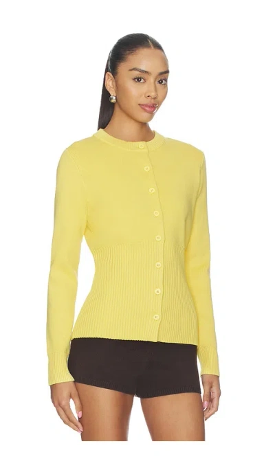 Aligne Ruby Knitted Cardigan In Multi