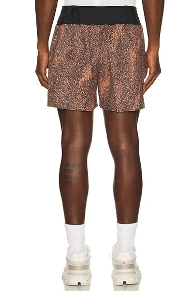 On Trail Shorts In Brown