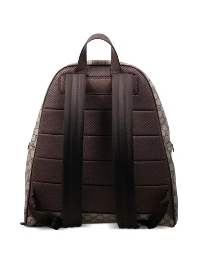 Gucci Ophidia Medium Backpack In Brown