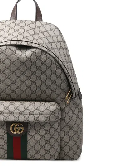 Gucci Ophidia Medium Backpack In Brown