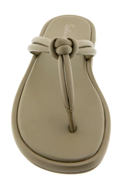 Splendid Ferdinanda Flip Flop In Multi