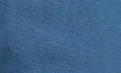 Burnside Cargo Shorts In Blue