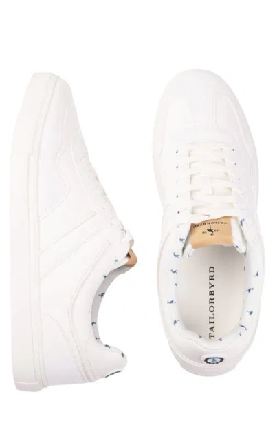 Tailorbyrd Brad Sneaker In Multi