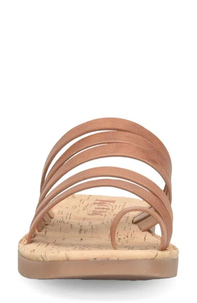 Korks Marisol Toe Loop Slide Sandal In Brown