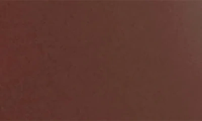 Izod Leather Belt In Brown