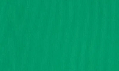 Original Penguin Golf Solid Sleeveless Crop Polo