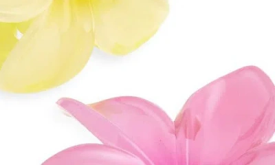 Bp. Assorted 2-pack Plumeria Claw Clips In Multi