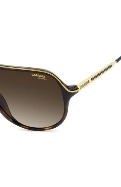 Carrera Eyewear Safari 62mm Oversize Gradient Rectangular Sunglasses In Brown