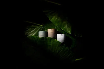 Qhue Nu Oud Candle In Multi