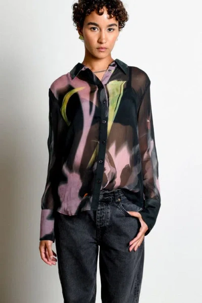 Untitled In Motion Untitled In Multi