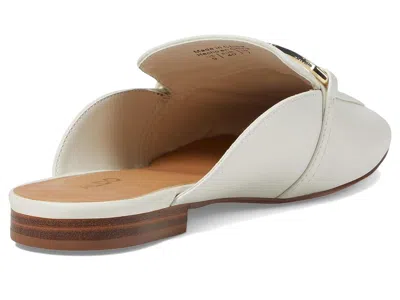 Aldo Silvie In Multi