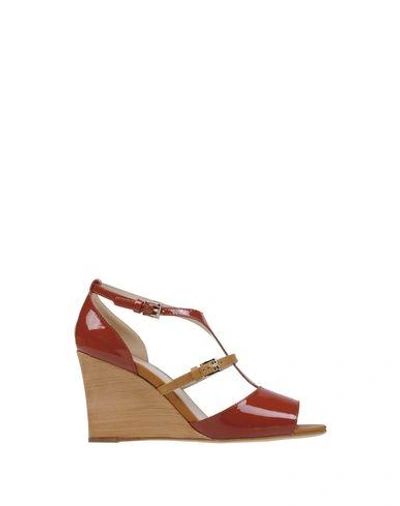 Shop Tod's Sandals In Brick Red