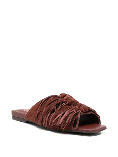 Ash Brigitte Suede Leather Fringe Flat Mules In Brown