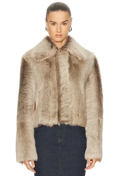 Arma Lucie Shearling Jacket In Brown