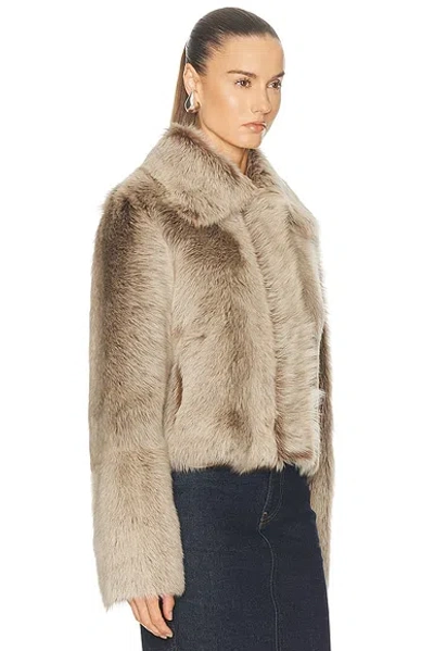Arma Lucie Shearling Jacket In Brown