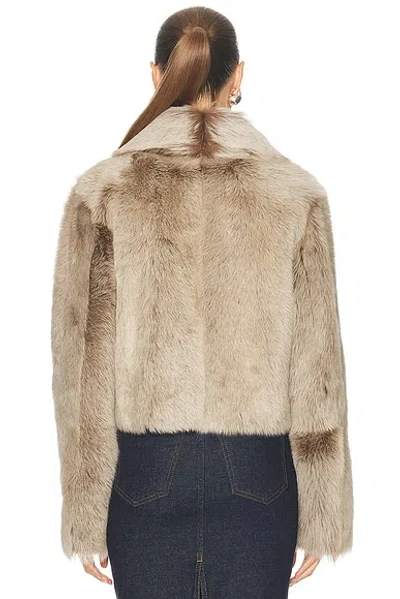 Arma Lucie Shearling Jacket In Brown