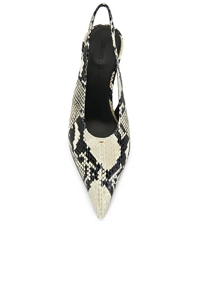 Khaite Bella 55 Python Print Leather Slingback Pumps In Animal Print