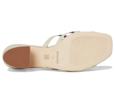 Bernardo Burgo In Neutral