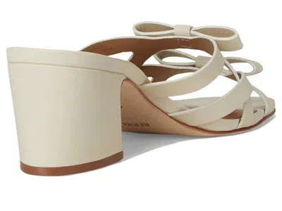 Bernardo Burgo In Neutral