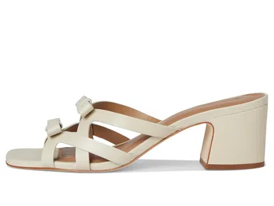 Bernardo Burgo In Neutral