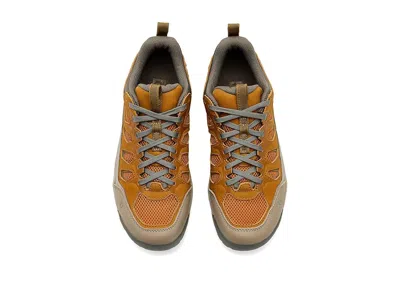 Oboz Sawtooth X Pro Low In Multi