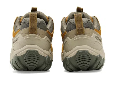 Oboz Sawtooth X Pro Low In Multi