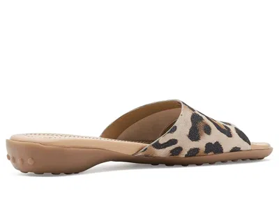 Vaneli Tallis In Multi