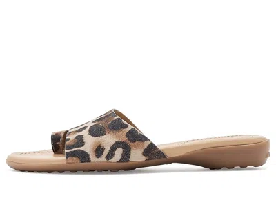 Vaneli Tallis In Multi