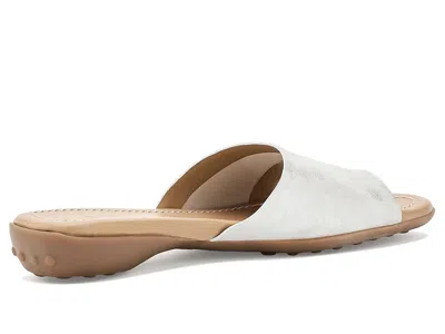 Vaneli Tallis In Multi