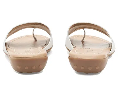 Vaneli Tallis In Multi