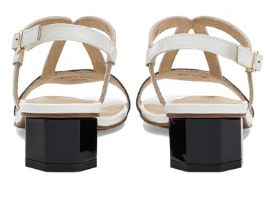 Vaneli Hollis In Multi