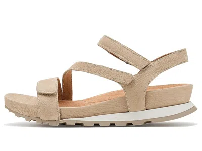 Jambu Liza In Gold