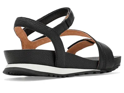 Jambu Liza In Black