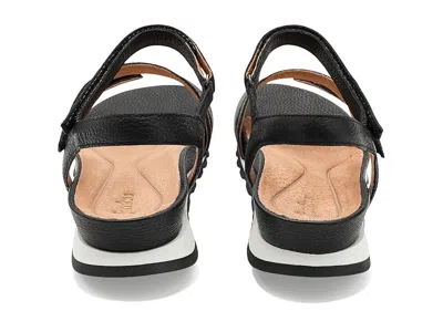 Jambu Liza In Black