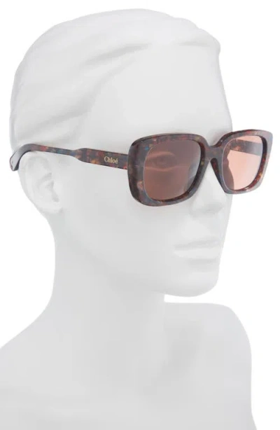 Chloé Rectangular Sunglasses In White