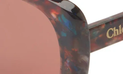 Chloé Rectangular Sunglasses In White