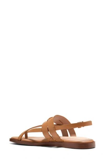 Cole Haan Go-to Estella Flat Leather Thong Sandal In Brown
