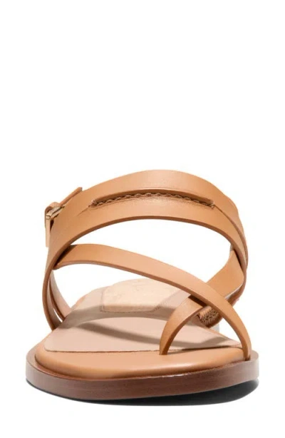 Cole Haan Go-to Estella Flat Leather Thong Sandal In Brown