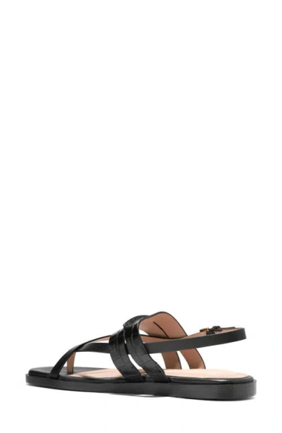 Cole Haan Go-to Estella Flat Leather Thong Sandal In Black