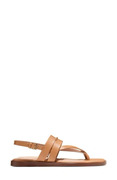 Cole Haan Go-to Estella Flat Leather Thong Sandal In Brown