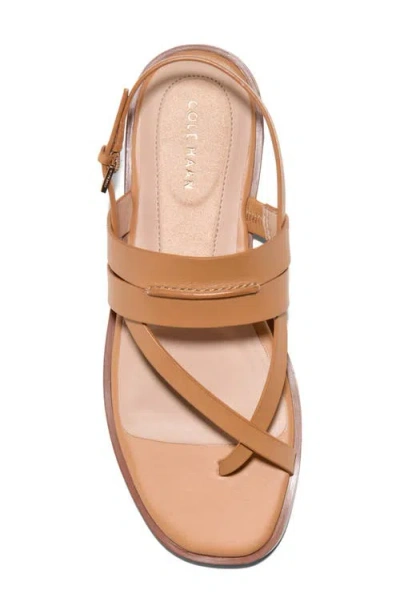 Cole Haan Go-to Estella Flat Leather Thong Sandal In Brown