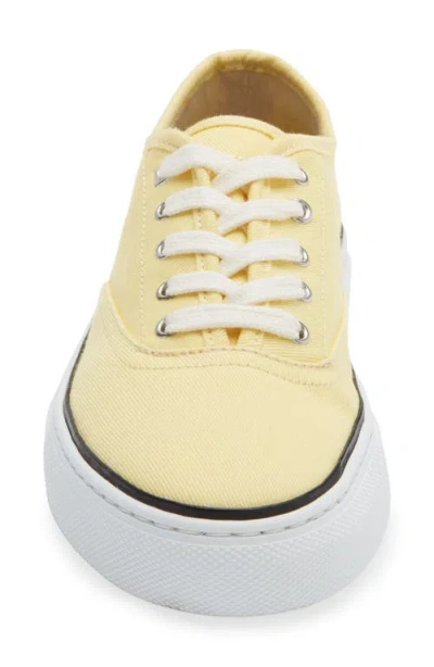 Jacquemus Les Fefe Logo-embroidered Canvas Sneakers In Multi