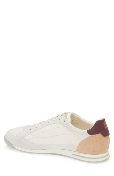 Brunello Cucinelli Sneaker Low Top Contrasting Heel Panel In Multi
