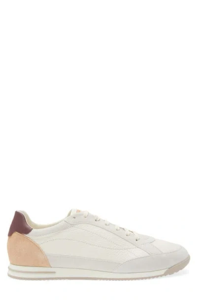 Brunello Cucinelli Sneaker Low Top Contrasting Heel Panel In Multi