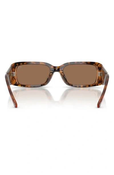 Diesel ® 53mm Rectangular Sunglasses In Brown