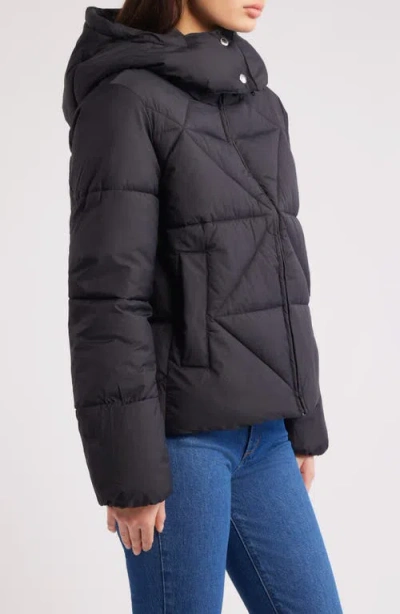 Sam Edelman Cropped Puffer Jacket In Black